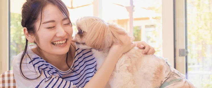 step4の画像